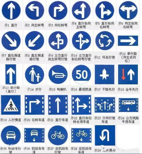 看清信號燈、標牌與標線