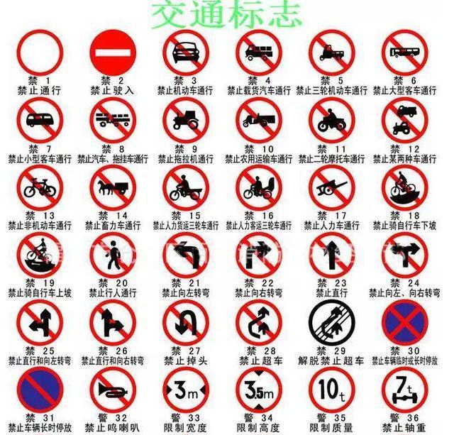 看清信號燈、標牌與標線